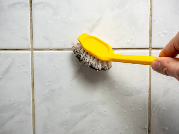 Best Mold Remediation  in Shavertown, PA