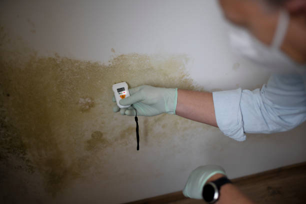 Water Damage Restoration in Shavertown, PA